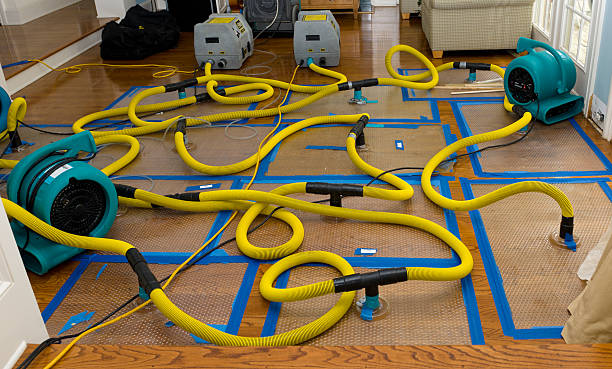 Professional Burst Pipe Water Damage technician working in Lisbon, OH
